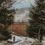Forest House *