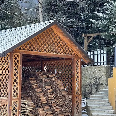 Forest House *