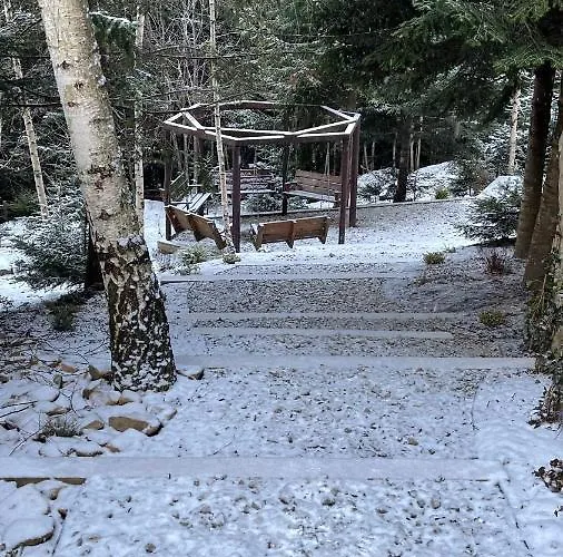 Forest House Semesterbostad