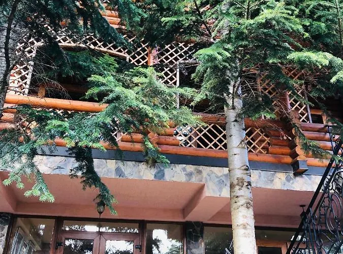Forest House