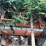 Forest House